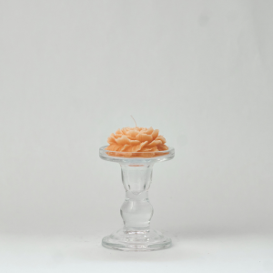 Alternative view of Peony singles